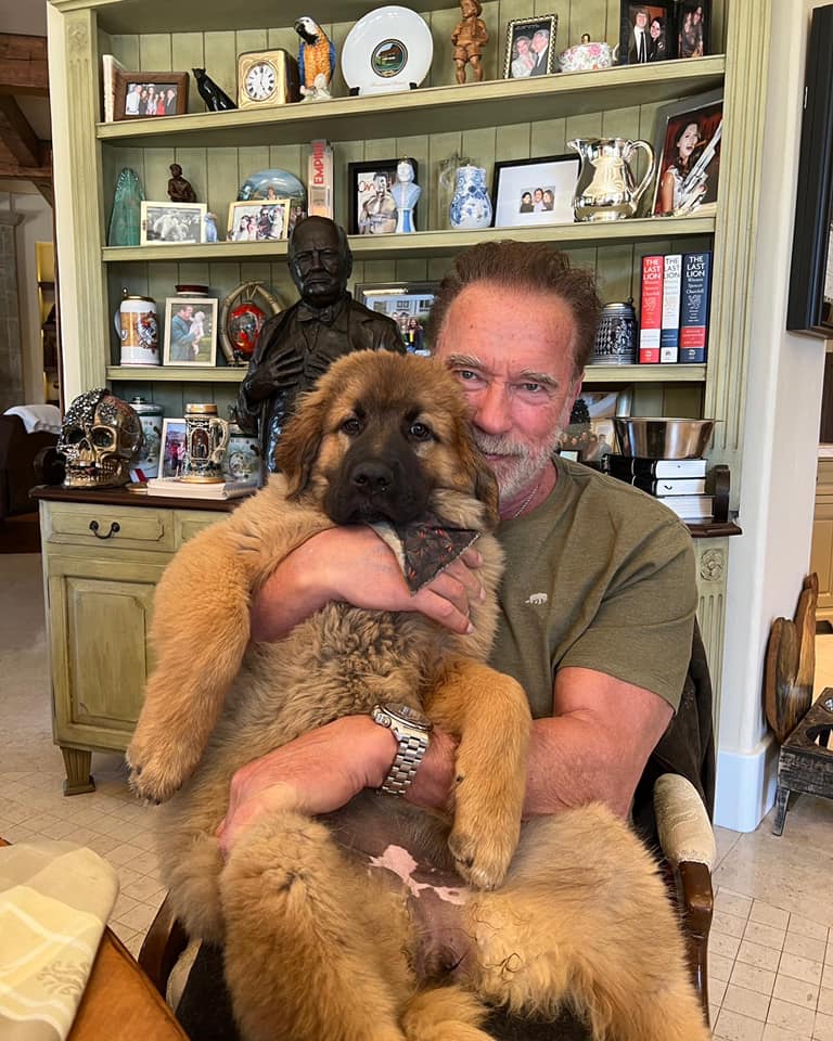 Arnold Schwarzenegger cuddles his dog in a photo posted on February 22, 2022 | Source: Facebook/arnold