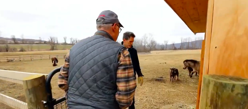 By the time cameras toured the farm, livestock had become central to the property. Bacon's attachment to the animals had also become a major part of how he spoke about life there.