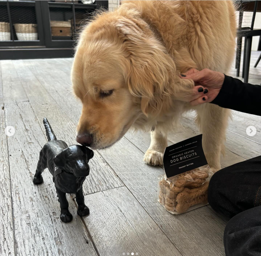 A golden retriever gently sniffing a small black dog figurine as Diane Keaton's hand holds its collar, from a post dated April 11, 2025 | Source: Instagram/hudsongracesf