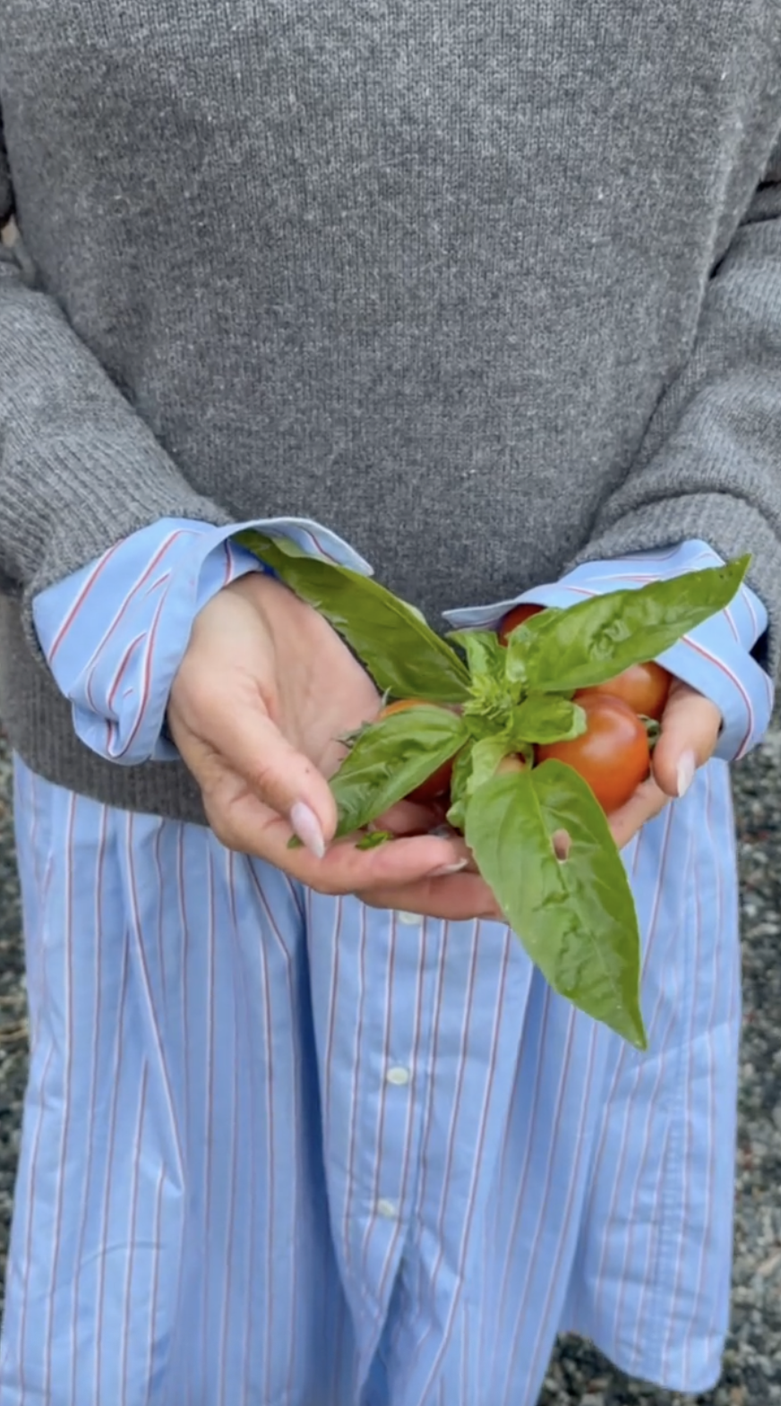 Pamela Anderson cradles freshly picked cherry tomatoes and fragrant basil leaves in her hands, showcasing the homegrown ingredients she treasures on Vancouver Island. Bundled in a grey knit sweater over a blue-and-white striped dress, she shared the simple harvest on TikTok alongside the message, "Good morning from the garden, TikTok… 🤍". | Source: TikTok/pamelaanderson