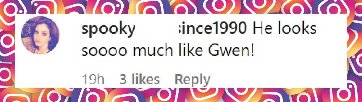 A netizen's comment on Gwen Stefani's birthday message to her son on May 26, 2025 | Source: Instagram/gwenstefani