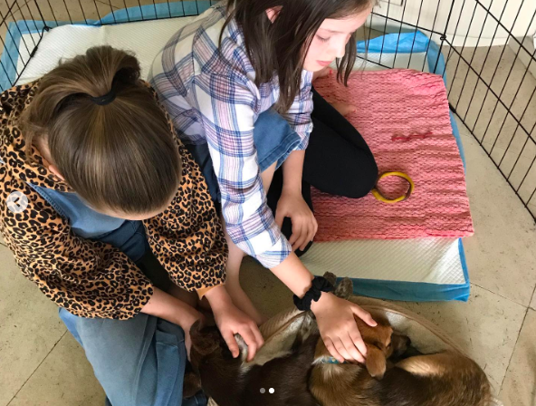 Harper and Finley Lockwood playing with puppies posted on March 24, 2020