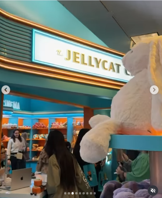 Alyson Hannigan's video of the Jellycat Pop-up event, which she posted about on September 26, 2026. | Source: Instagram/alysonhannigan