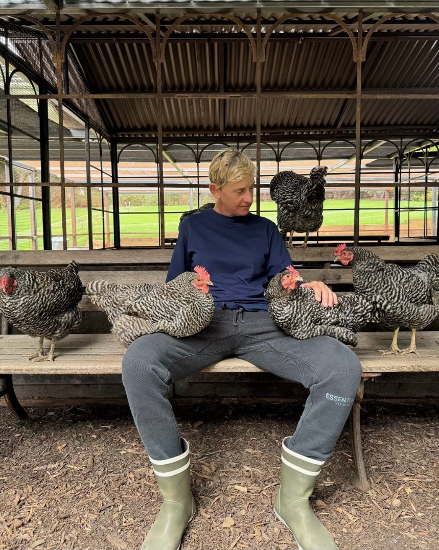 Ellen DeGeneres from a post dated August 30, 2024. | Source: Instagram/ellendegeneres