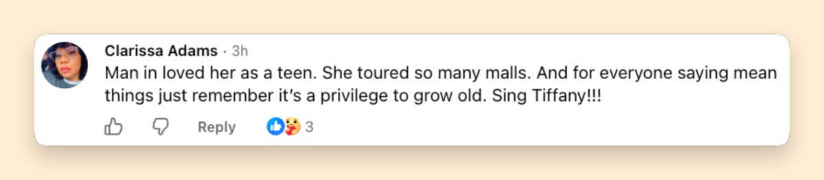 For some viewers, the new footage did more than show Tiffany today — it brought back memories of being young during the mall-tour years, turning the comments into a conversation about aging alongside the stars they once followed. | Source: Facebook