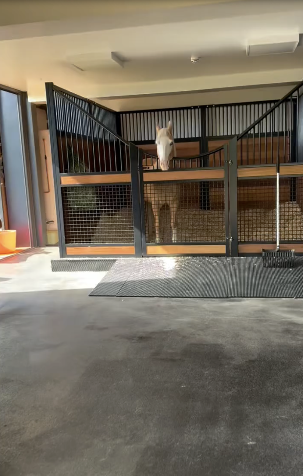 Inside Ellen DeGeneres and Portia de Rossi's home from a post dated May 30, 2025. | Source: Instagram/ellendegeneres