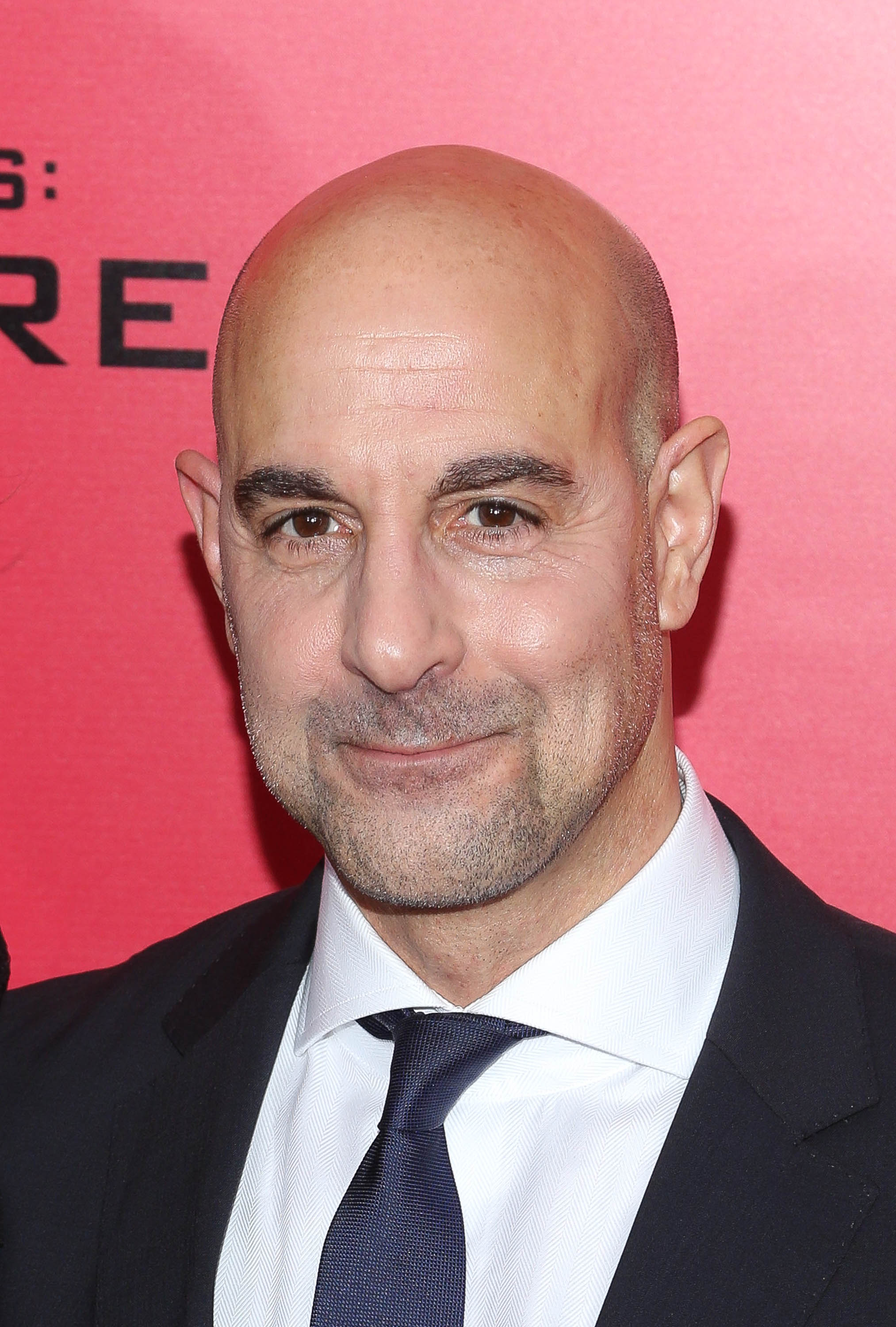 Stanley Tucci at a special screening of "The Hunger Games: Catching Fire" on November 20, 2013, in New York. | Source: Getty Images