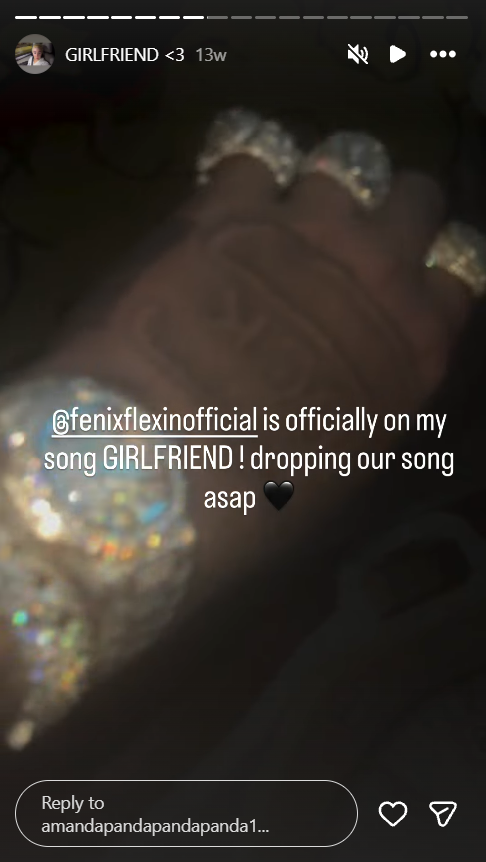 Amanda Bynes promotes her song, "Girlfriend," on her Instagram Highlights. | Source: Instagram/amandapandapandapanda1