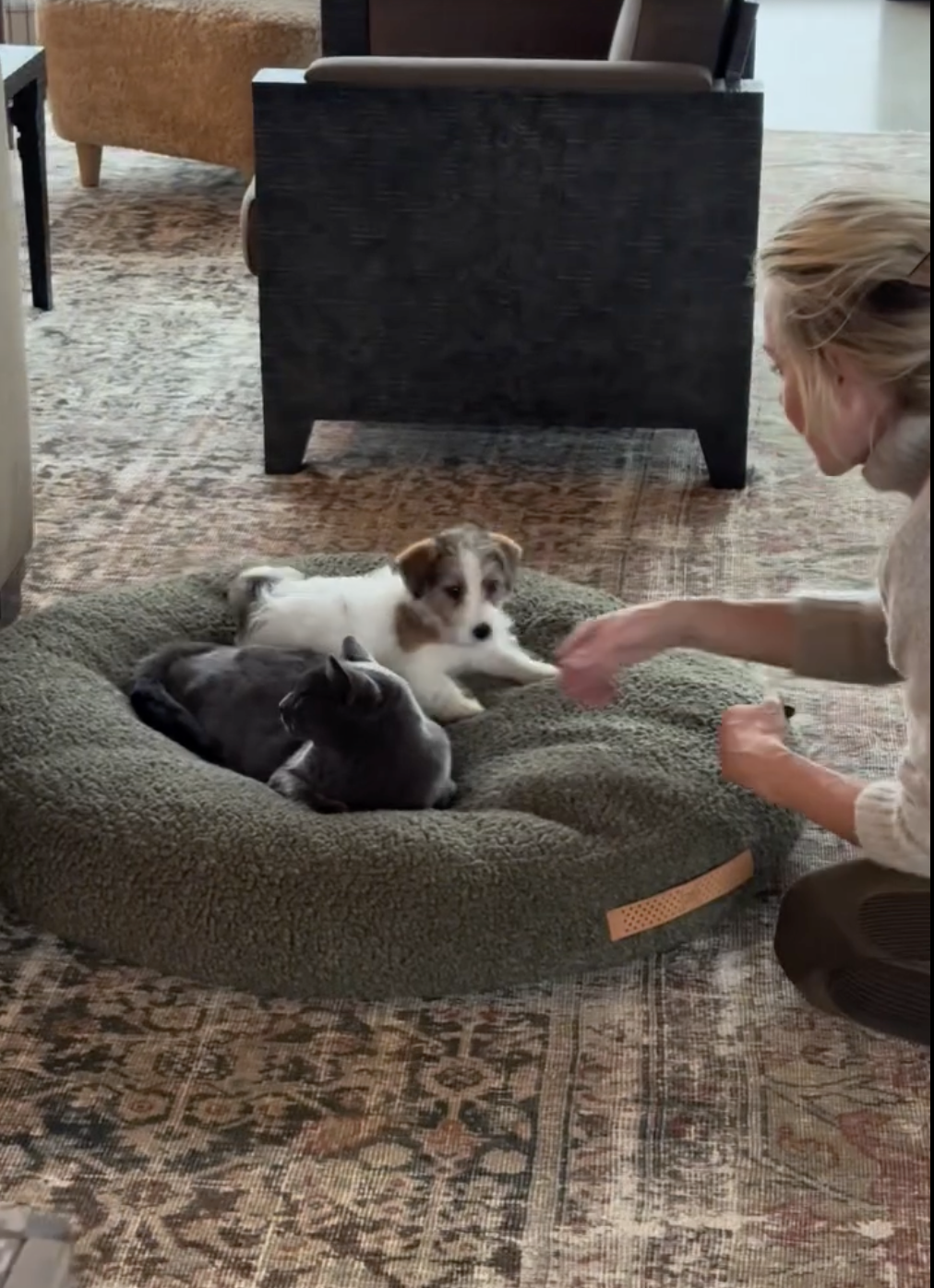 Inside Ellen DeGeneres and Portia de Rossi's home from a post dated October 23, 2025. | Source: Instagram/ellendegeneres