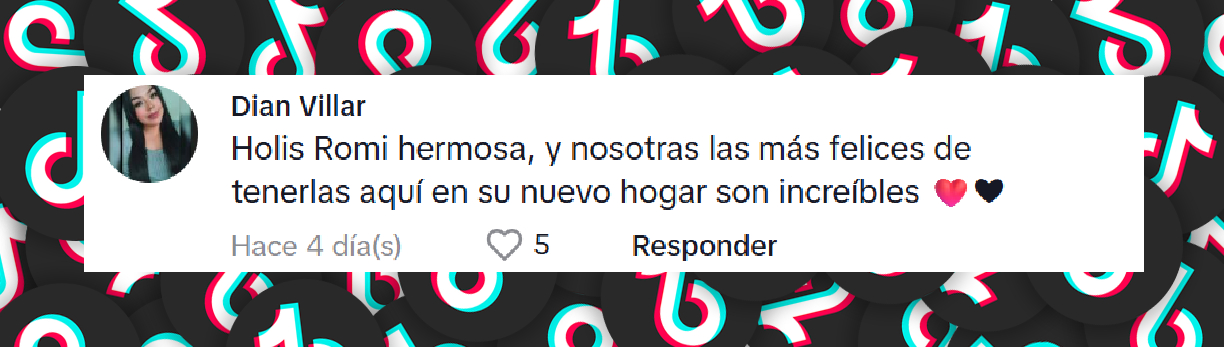 Comment from a user on the video shared by Romina Marcos, where she shows her new apartment with her girlfriend Laura Salazar. | Source: TikTok/romimarcos