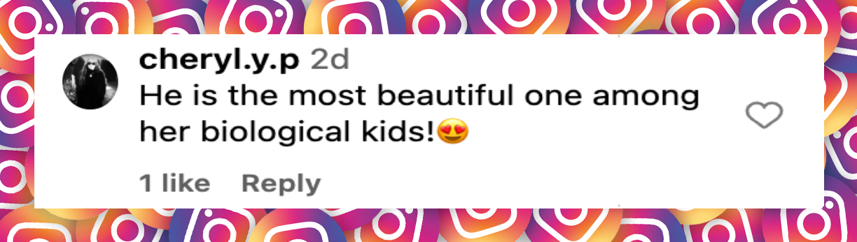 A netizen comment on the photo of Angelina Jolie and her son, Knox, on a grocery store outing, dated May 2, 2025 | Source: Instagram/backgrid_usa