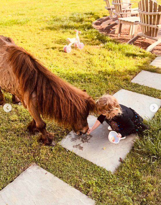 Kaliyah crouches beside a small brown pony, holding out food with one hand and a cup with the other. A child's tricycle and outdoor chairs are visible on the lawn, placing the encounter close to an everyday family sitting area. | Source: Instagram/wynonnajudd