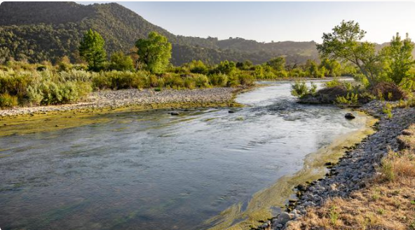 A river winds through the scenic countryside, surrounded by rocky banks, lush vegetation, and rolling hills covered in dense greenery. Trees and shrubs line the water's edge, while sunlight illuminates the flowing water and the rugged landscape beyond, showcasing the property's picturesque natural surroundings. | Source: Redfin
