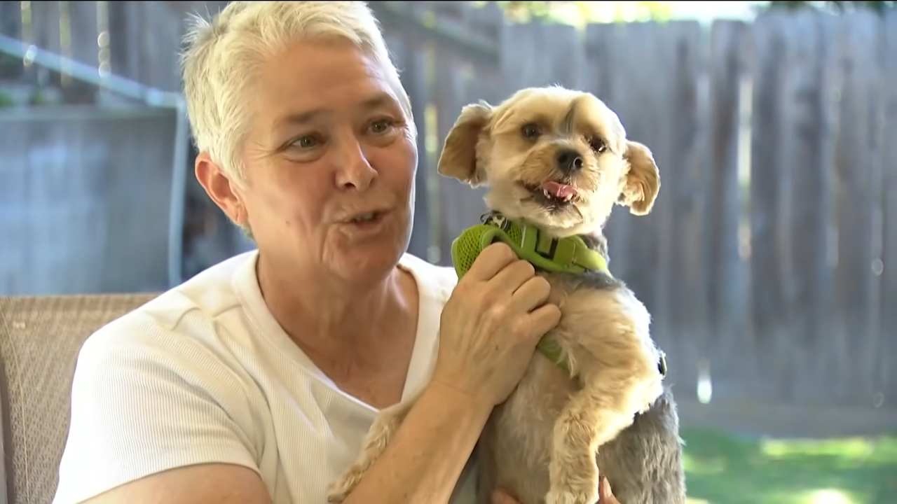 Neighbor Lindy Ross holds her Yorkie, Harley, while speaking about Mya Voight, whom she met during a walk in the neighborhood years earlier. | Source: YouTube/FOX 5 San Diego