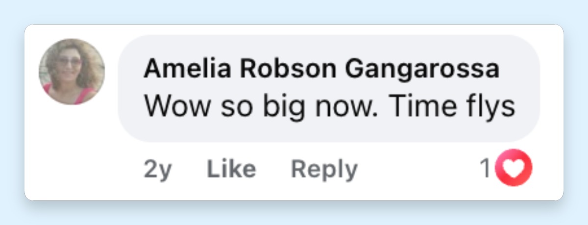 Netizen comment about the actress' kids, posted on April 6, 2024. | Source: Facebook/Page Six