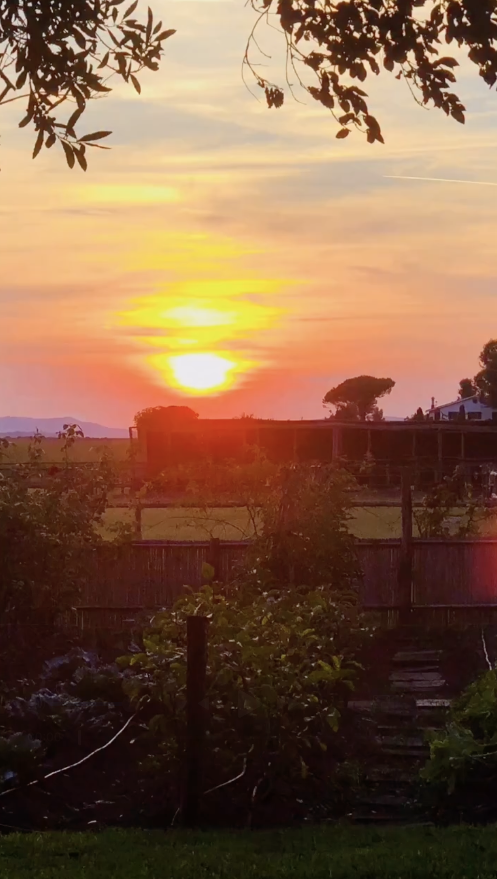 A sunset casts warm colors across the landscape surrounding the family's Spain home, highlighting the peaceful countryside setting beyond the property. | Source: Instagram/alejandragere