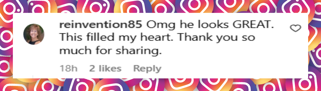 A netizen's comment about Bruce Willis on his daughter Tallulah Willis' post from June 22, 2025 | Source: Instagram/buuski