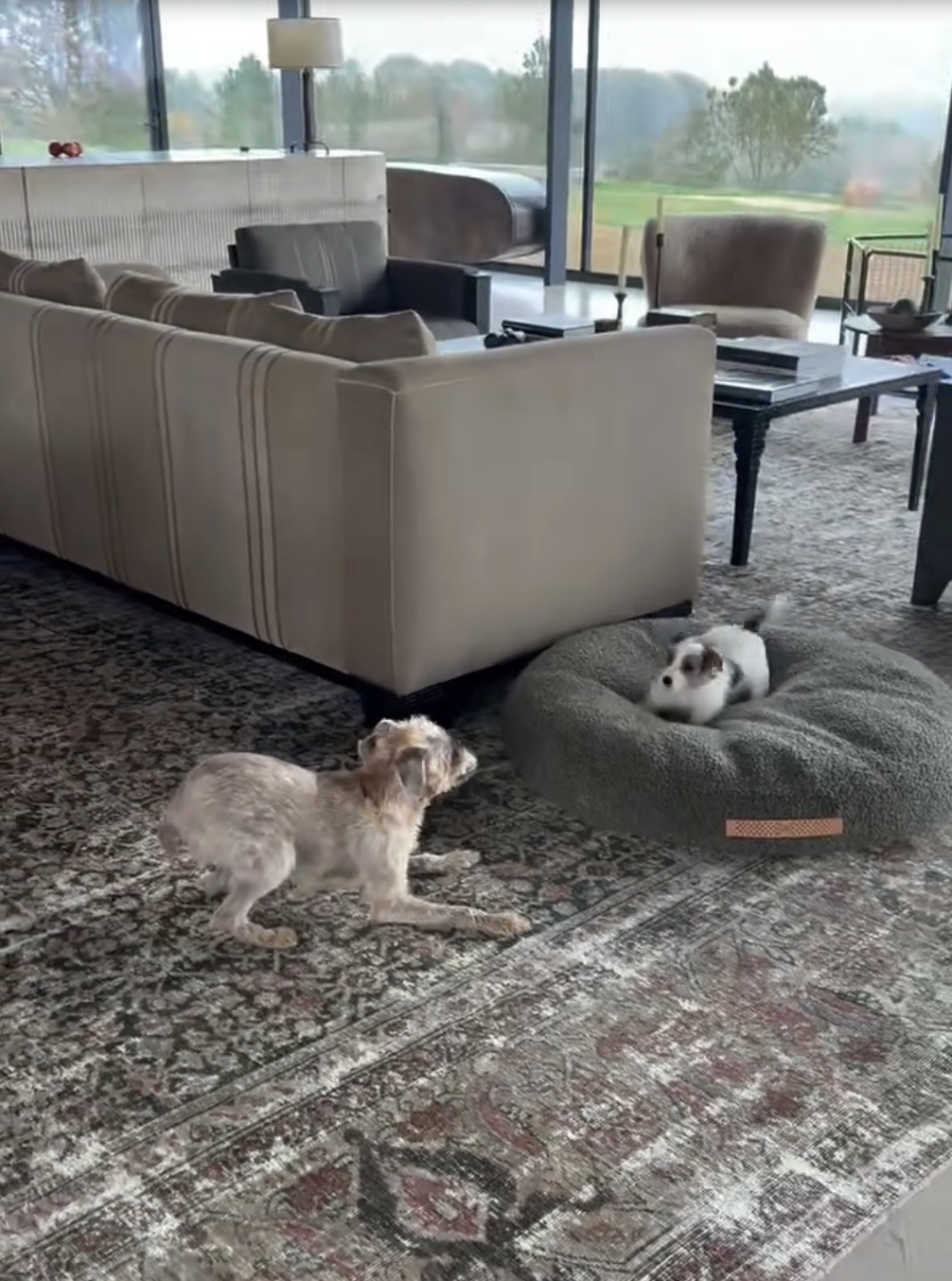 Inside Ellen DeGeneres and Portia de Rossi's property from a post dated October 16, 2025. | Source: Instagram/ellendegeneres
