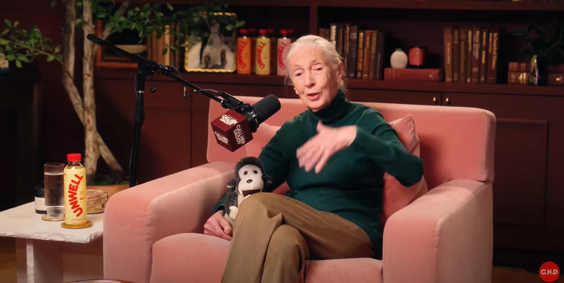 Jane Goodall talks about the best part of 90th birthday, from a video post dated May 21, 2025 | Source: YouTube/CallHerDaddy