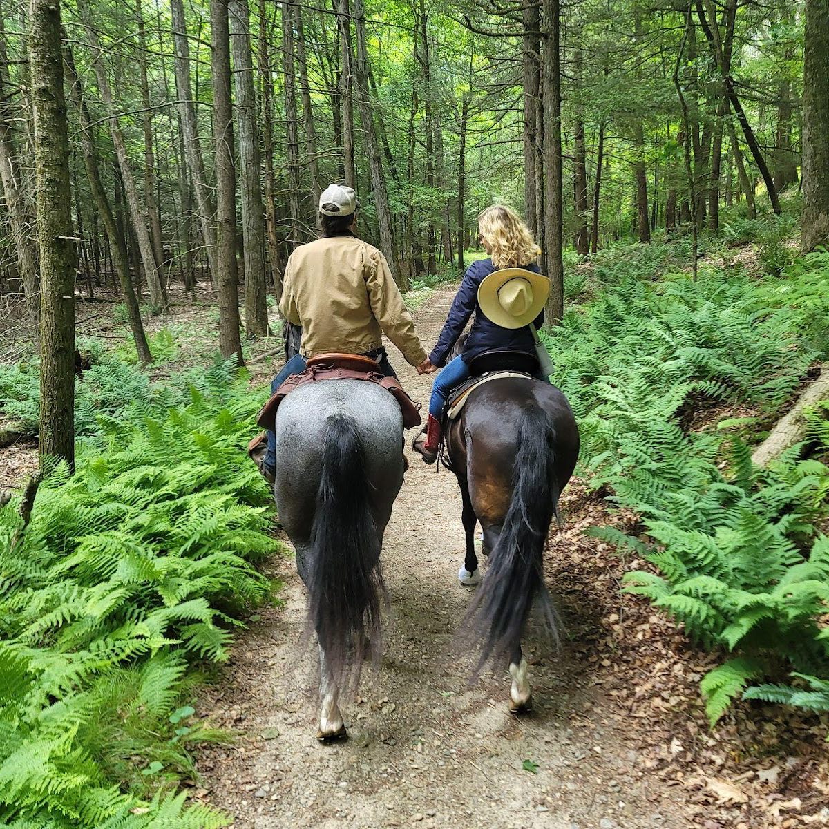 Bacon has said he developed a fascination with horses despite growing up in the city. Riding became one way his youthful cowboy fantasy could actually find a place in Connecticut. | Source: Instagram/kevinbacon