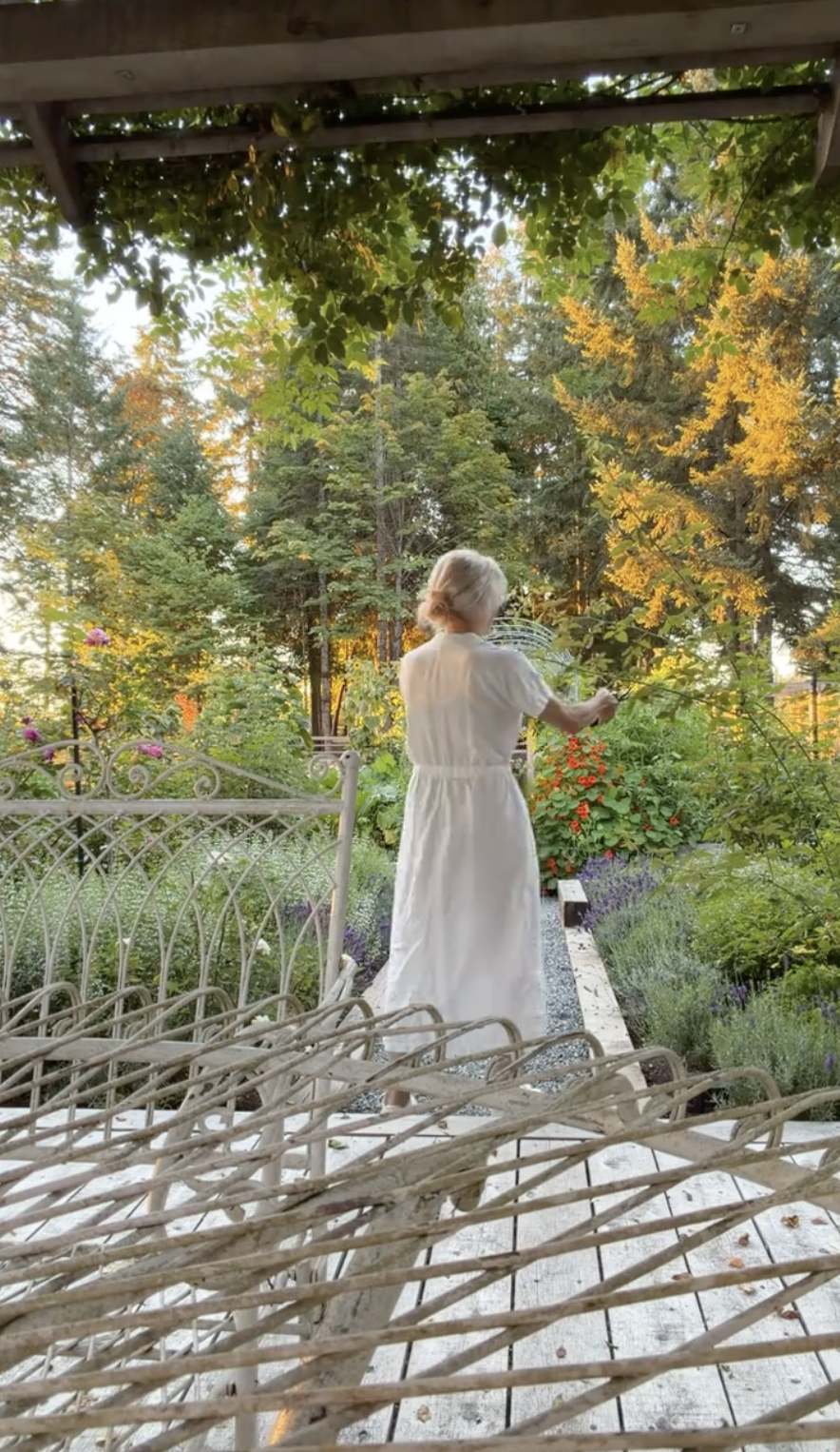 Pamela Anderson tends to climbing vines in her Arcady garden, seen from behind in an ethereal white short-sleeved midi dress bathed in warm morning light. Framed by rustic wrought-iron patio furniture, vibrant lavender beds, and tall evergreen trees, she shared the tranquil scene on TikTok with the sweet greeting, "wishing you another sweet morning from the garden… have a beautiful day 🌷🤍". | Source: TikTok/pamelaanderson