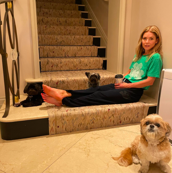 The staircase has clearly become part of daily family life. Even in a polished townhouse, there are casual moments with pets and coffee. | Source: Instagram/kellyripa