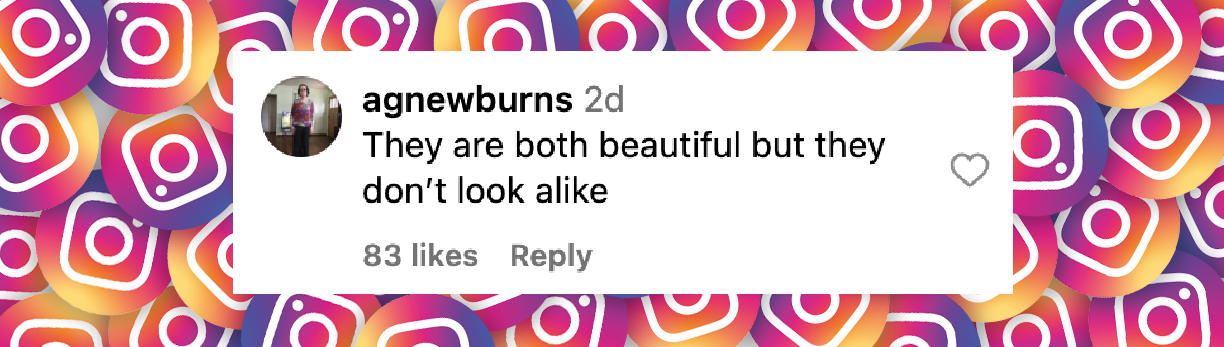 A netizen's comment on Heidi and Leni Klum's appearance in New York City in May 2025 | Source: Instagram/people